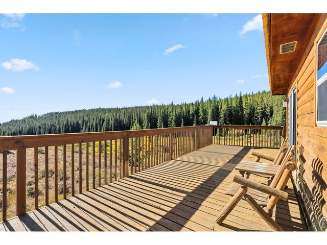 162 S Silk Sisters Pl, Fairplay, CO 80440
