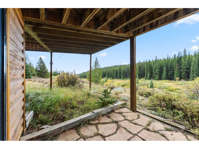 162 S Silk Sisters Pl, Fairplay, CO 80440