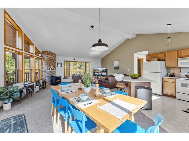 162 S Silk Sisters Pl, Fairplay, CO 80440