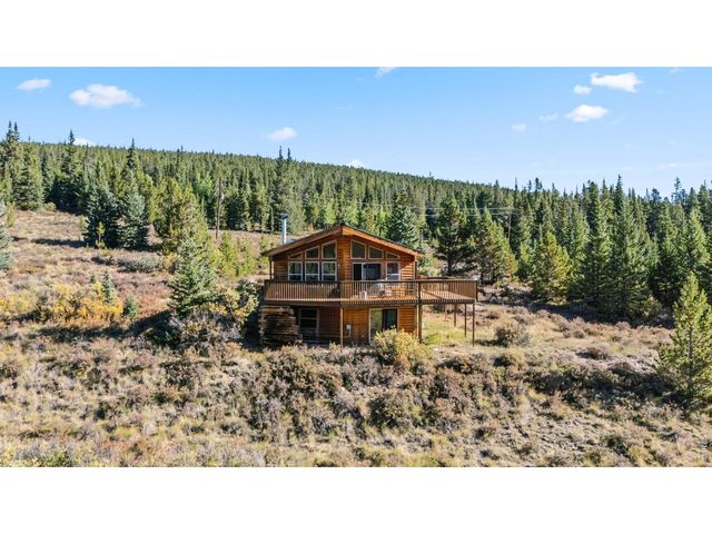 162 S Silk Sisters Pl, Fairplay, CO 80440