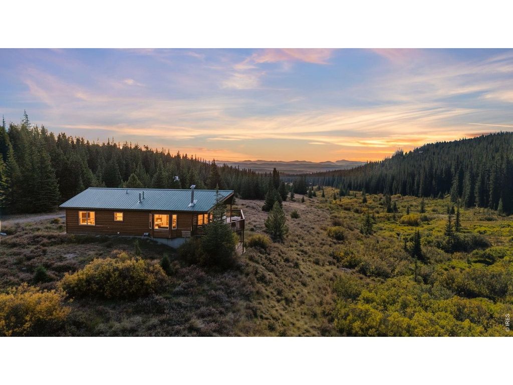 162 S Silk Sisters Pl, Fairplay, CO 80440
