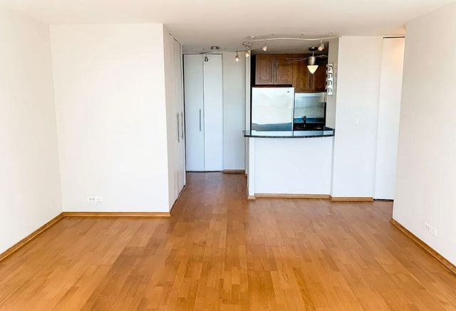 70 W Burton Place 1608, Chicago, IL 60610