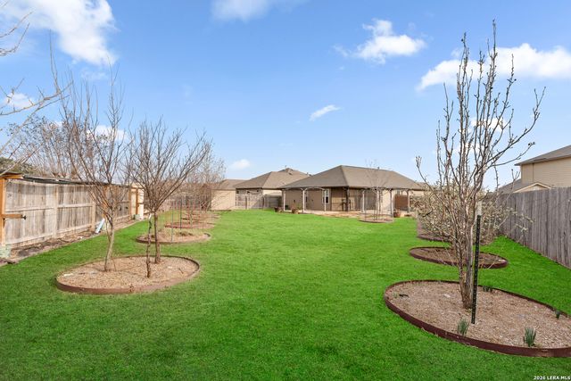 14061 Shivers Cv, San Antonio, TX 78254