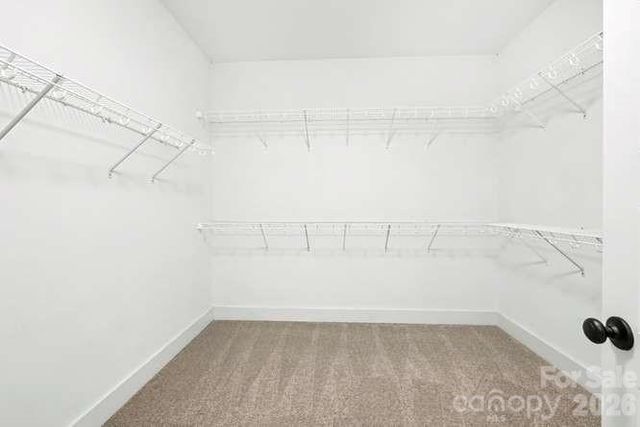 824 E 16th Street, Charlotte, NC 28205