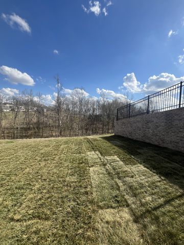 1193 Sydney Terrace, Mount Juliet, TN 37122