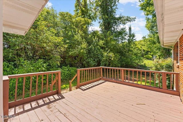 117 Larkins Street, Bristol, TN 37620