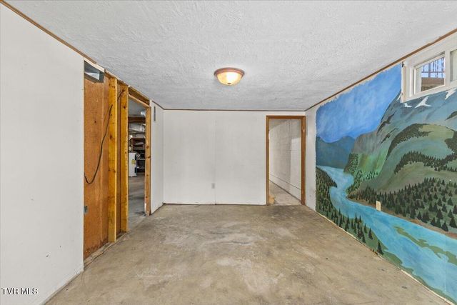 117 Larkins Street, Bristol, TN 37620