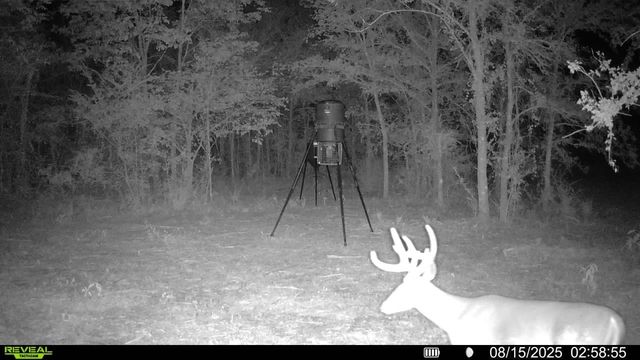 9695 County Rd 3555, Lovelady, TX 75851