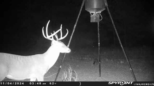 9695 County Rd 3555, Lovelady, TX 75851