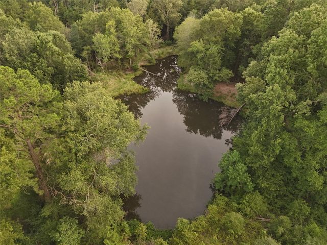 9695 County Rd 3555, Lovelady, TX 75851