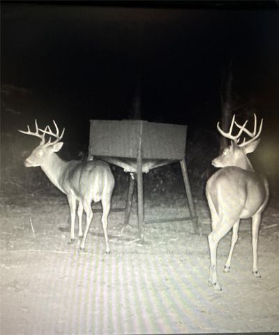 9695 County Rd 3555, Lovelady, TX 75851