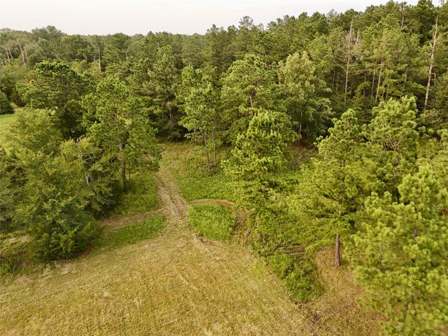 9695 County Rd 3555, Lovelady, TX 75851