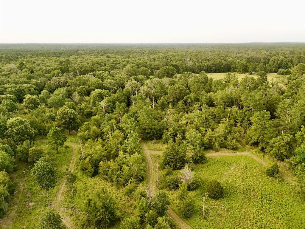 9695 County Rd 3555, Lovelady, TX 75851