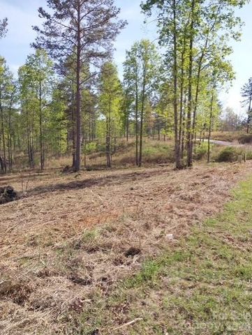 2158 Jumping Run 31, Connelly Springs, NC 28612