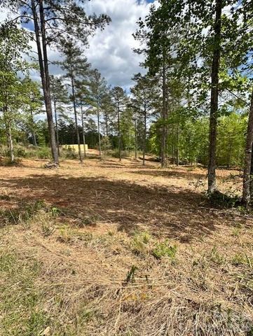 2158 Jumping Run 31, Connelly Springs, NC 28612