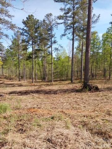 2158 Jumping Run 31, Connelly Springs, NC 28612