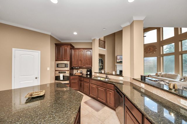 13723 Playa Lucia Court, Houston, TX 77044