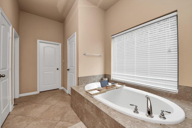 13723 Playa Lucia Court, Houston, TX 77044