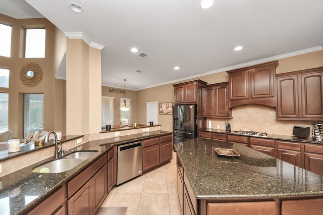 13723 Playa Lucia Court, Houston, TX 77044