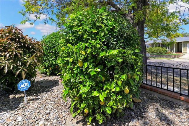 3139 Laneview Drive, San Jose, CA 95132