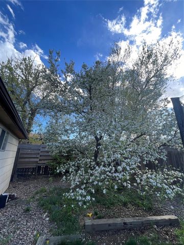 10478 Pearl Way, Northglenn, CO 80233