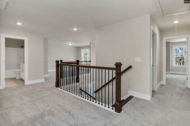 107 Greengarden Drive, Chapin, SC 29036