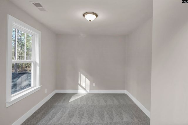 107 Greengarden Drive, Chapin, SC 29036