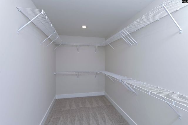 107 Greengarden Drive, Chapin, SC 29036