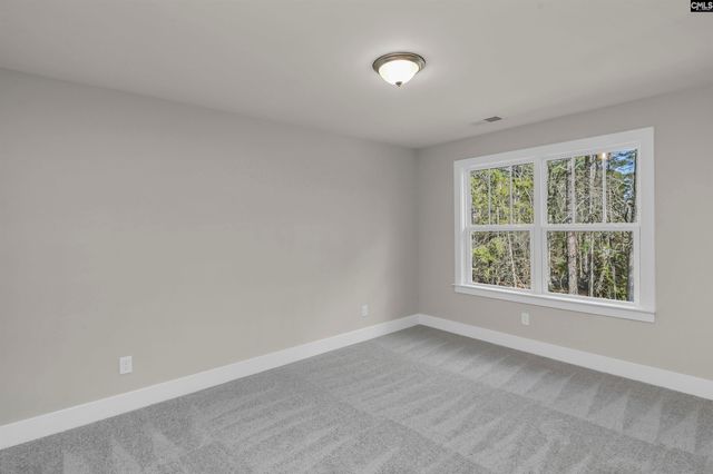 107 Greengarden Drive, Chapin, SC 29036