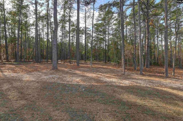 107 Greengarden Drive, Chapin, SC 29036