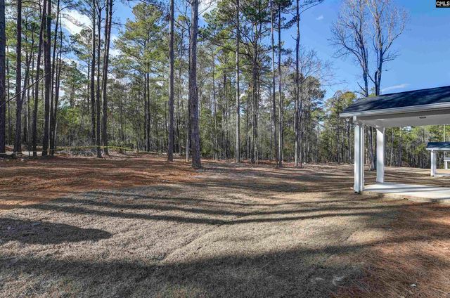 107 Greengarden Drive, Chapin, SC 29036