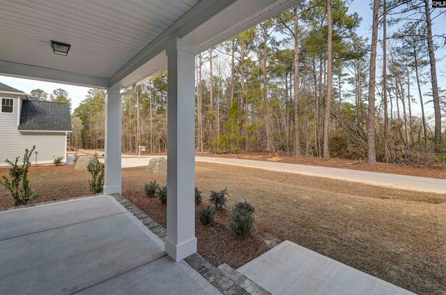 107 Greengarden Drive, Chapin, SC 29036