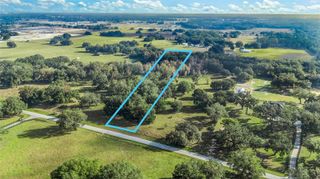 TRACT 1 - CR 221, Wildwood, FL 34785