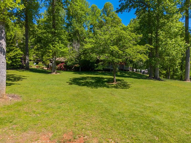 34 Shane Laughter, Robbinsville, NC 28771