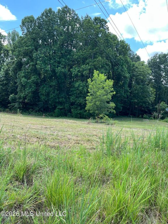 127 Parker Cove, Byhalia, MS 38611 — photo 2