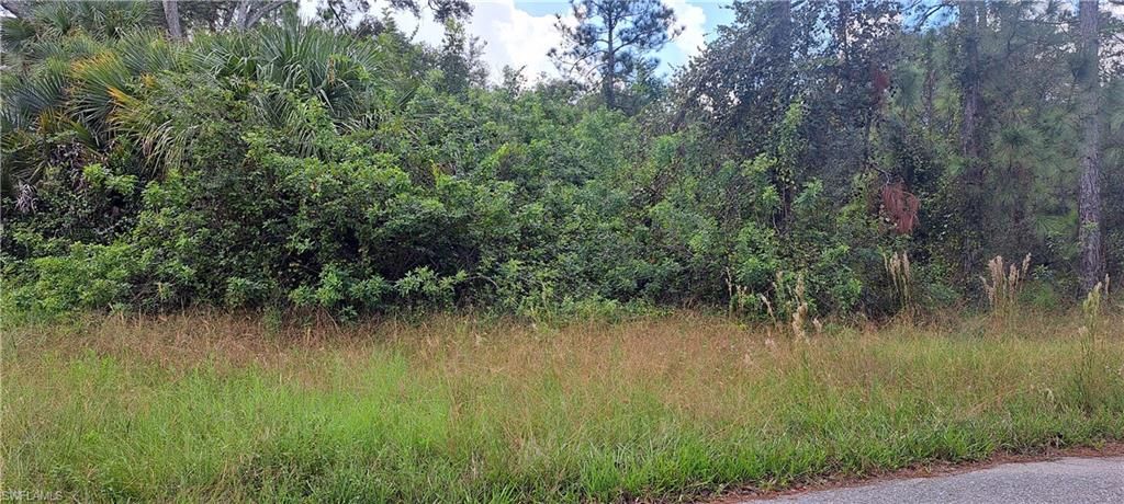 3806 13th ST, LEHIGH ACRES, FL 33972 — photo 3