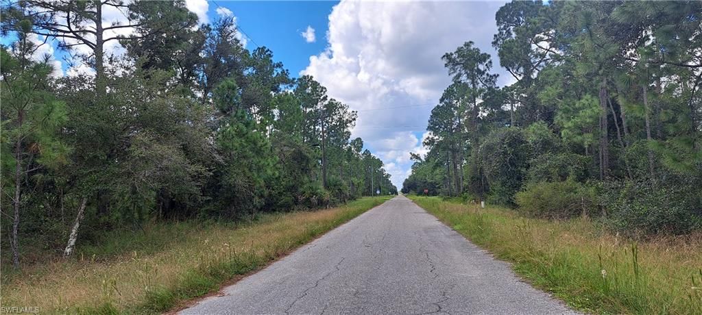 3806 13th ST, LEHIGH ACRES, FL 33972 — photo 4