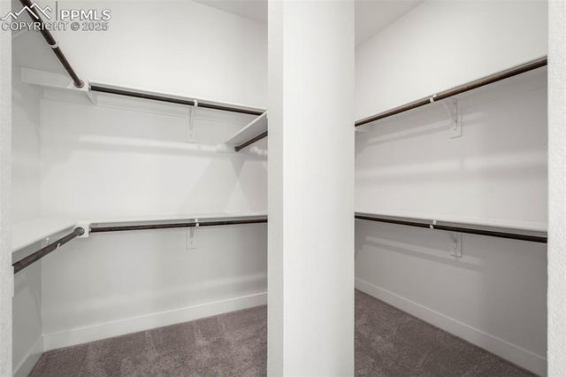 17242 Alsike Clover Court, Monument, CO 80132