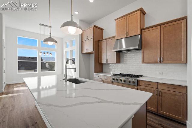 17242 Alsike Clover Court, Monument, CO 80132