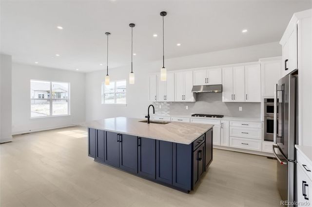 430 Leafy Aster Lane, Castle Rock, CO 80104