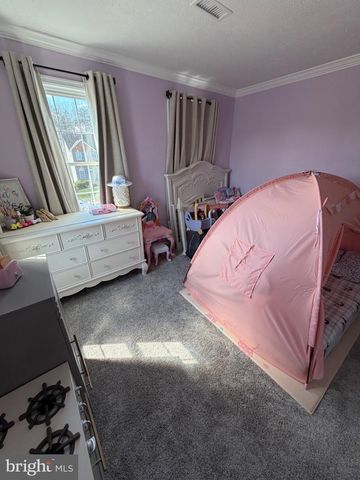 11207 SPRING MEADOW BLVD, Fredericksburg, VA 22407