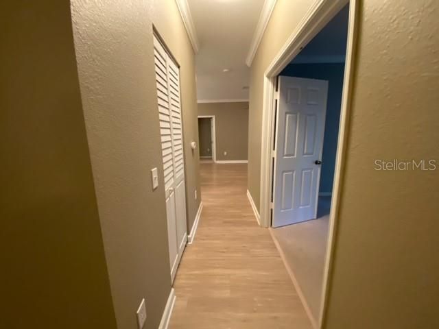 2261 TUSCANY TRACE 19, Palm Harbor, FL 34683