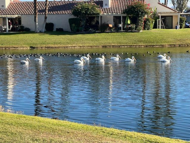 442 Sunningdale Drive, Rancho Mirage, CA 92270