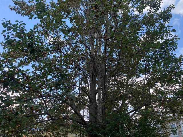 525 SEWELL BOTTOM RD, Adamsville, TN 38310