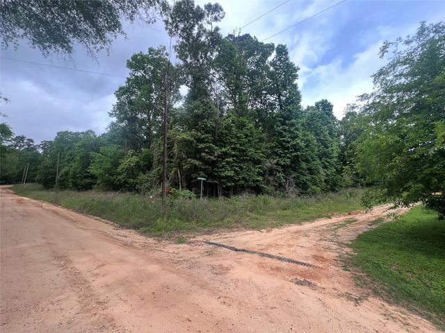 0 Patricia Drive, Livingston, TX 77351