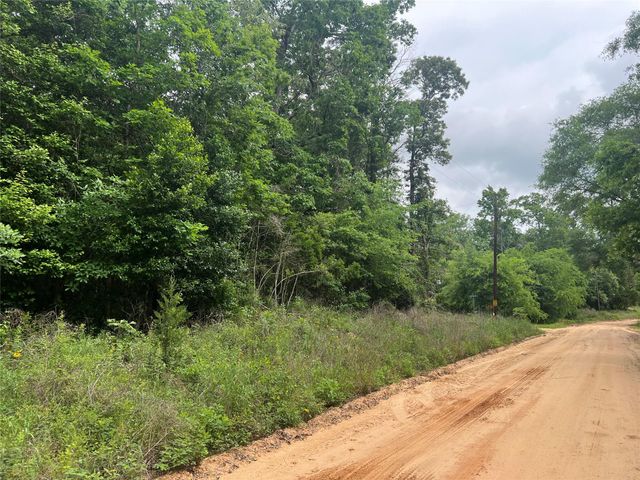 0 Patricia Drive, Livingston, TX 77351