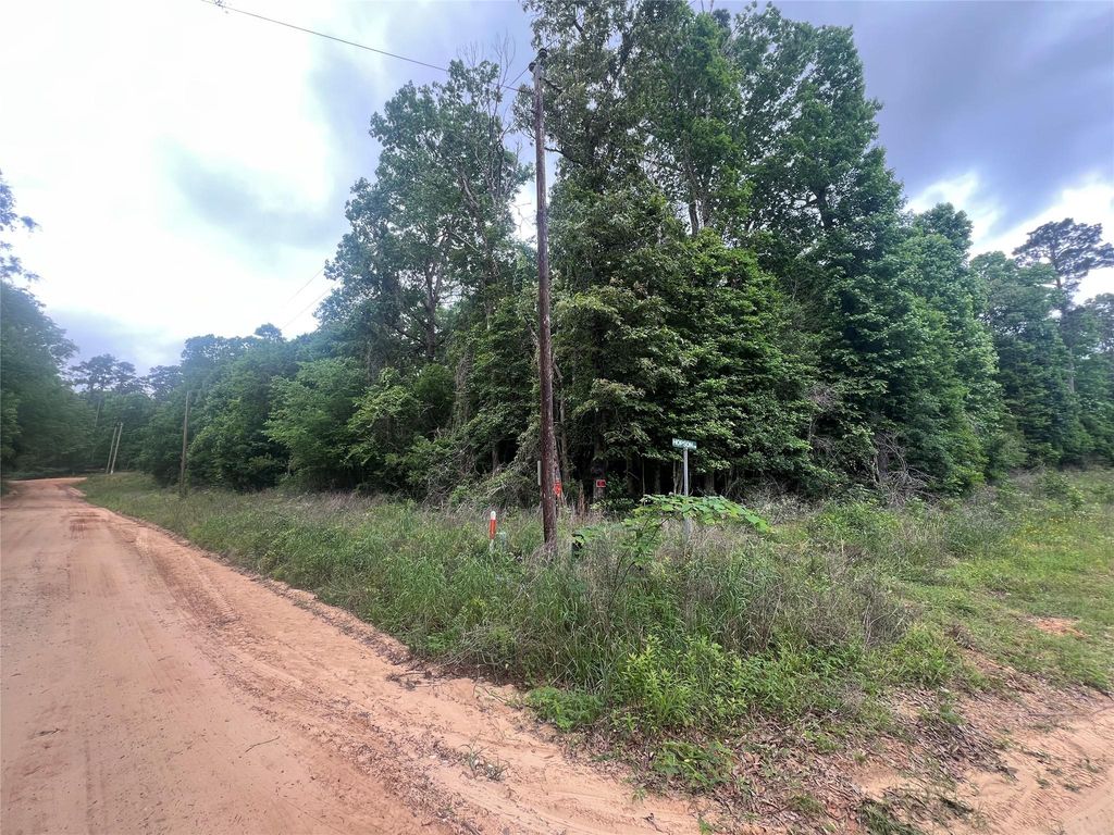 0 Patricia Drive, Livingston, TX 77351