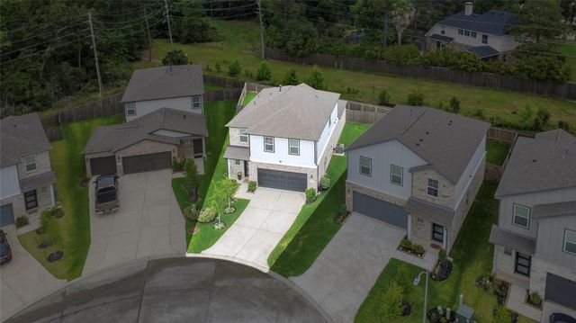 8646 Blueberry Ash Street, Magnolia, TX 77354