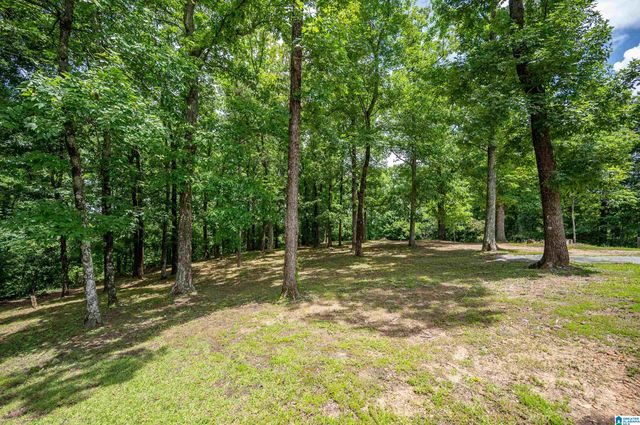 1491 GRANDVIEW TRAIL, Warrior, AL 35180