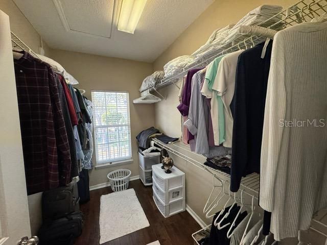 1128 RUSH STREET, Celebration, FL 34747